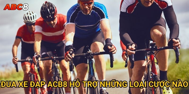Tại sao cá cược đua xe đạp ACB8 ngày càng phổ biến? 2 Đua xe đạp ACB8 hỗ trợ những loại cược nào?